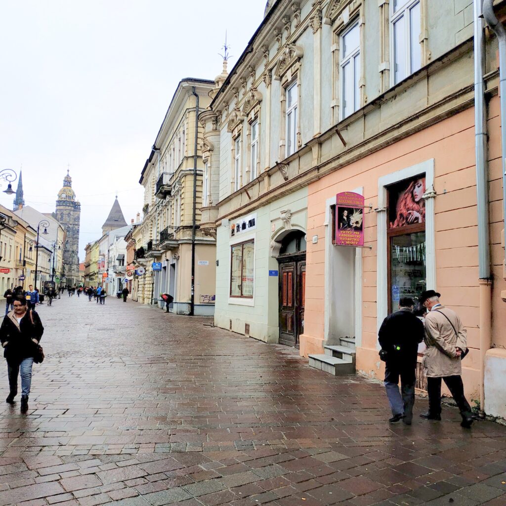 Nebytový priestor Mlynská 136m2